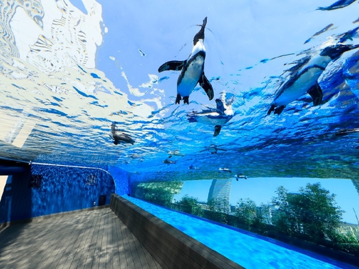 【池袋を楽しもう♪】サンシャイン水族館入場券・整理券付きプラン！